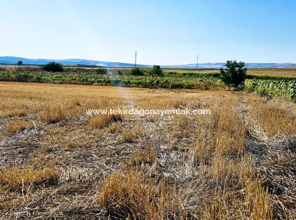 Asyaport Port Is Within The Current Zoning Plan ( Commercial