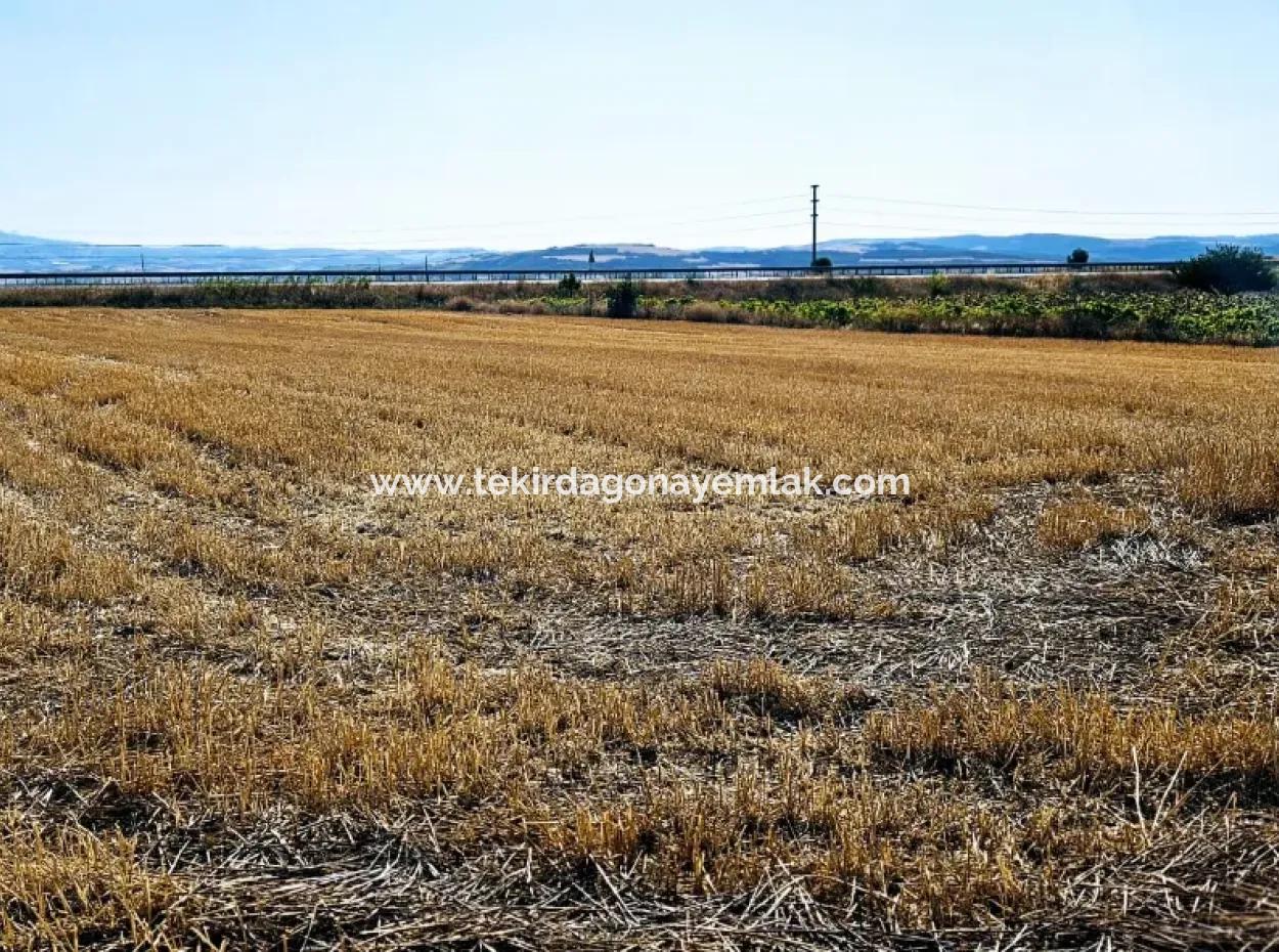 Asyaport Port Is Within The Current Zoning Plan ( Commercial