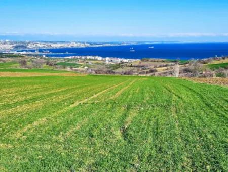 Tekirdag Barbarosta Luxury Villa Project Yap. Give A Flat To The Contractors And Make A High Profit Villa With Full Sea View Zoned Land