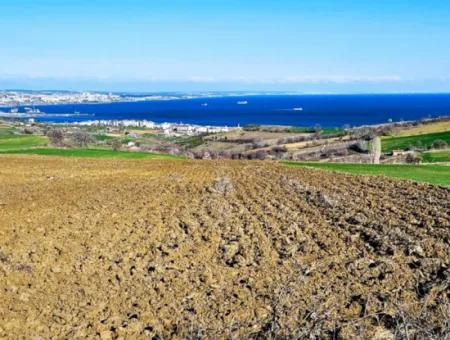 Tekirdag Barbarosta Luxury Villa Project Yap. Give A Flat To The Contractors And Make A High Profit Villa With Full Sea View Zoned Land