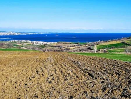 Tekirdag Barbarosta Luxury Villa Project Yap. Give A Flat To The Contractors And Make A High Profit Villa With Full Sea View Zoned Land