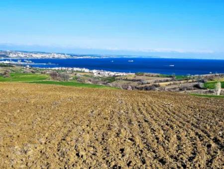 Tekirdag Barbarosta Luxury Villa Project Yap. Give A Flat To The Contractors And Make A High Profit Villa With Full Sea View Zoned Land