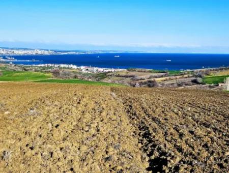 Tekirdag Barbarosta Luxury Villa Project Yap. Give A Flat To The Contractors And Make A High Profit Villa With Full Sea View Zoned Land