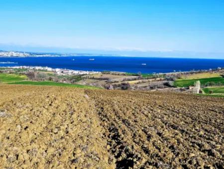 Tekirdag Barbarosta Luxury Villa Project Yap. Give A Flat To The Contractors And Make A High Profit Villa With Full Sea View Zoned Land