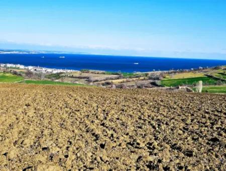 Tekirdag Barbarosta Luxury Villa Project Yap. Give A Flat To The Contractors And Make A High Profit Villa With Full Sea View Zoned Land