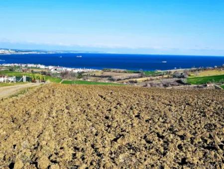 Tekirdag Barbarosta Luxury Villa Project Yap. Give A Flat To The Contractors And Make A High Profit Villa With Full Sea View Zoned Land