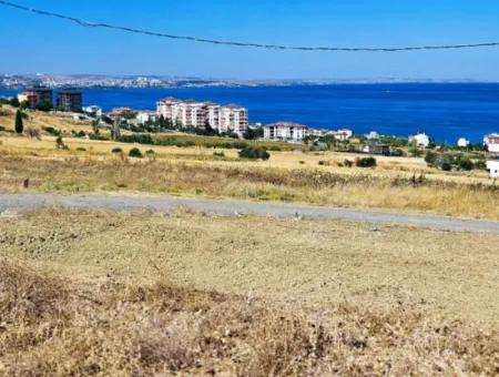 Opportunity Land Suitable For Building Your Detached House In Your Pregnant House For Urgent Sale In Tekirdag Barbarosta