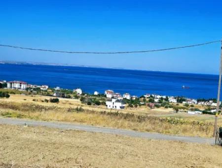 Opportunity Land Suitable For Building Your Detached House In Your Pregnant House For Urgent Sale In Tekirdag Barbarosta