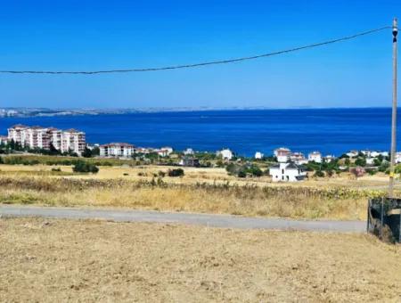 Opportunity Land Suitable For Building Your Detached House In Your Pregnant House For Urgent Sale In Tekirdag Barbarosta