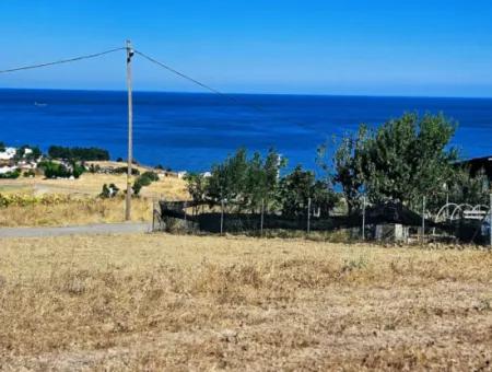 Opportunity Land Suitable For Building Your Detached House In Your Pregnant House For Urgent Sale In Tekirdag Barbarosta
