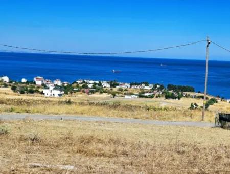 Opportunity Land Suitable For Building Your Detached House In Your Pregnant House For Urgent Sale In Tekirdag Barbarosta