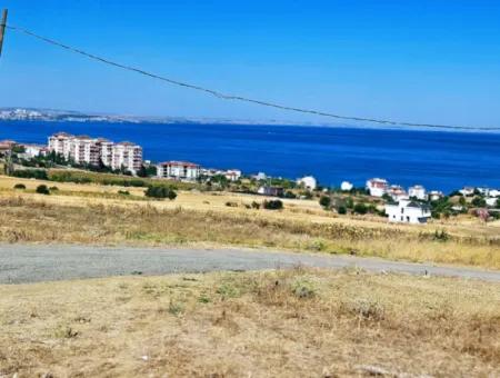 Opportunity Land Suitable For Building Your Detached House In Your Pregnant House For Urgent Sale In Tekirdag Barbarosta