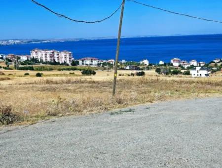 Opportunity Land Suitable For Building Your Detached House In Your Pregnant House For Urgent Sale In Tekirdag Barbarosta