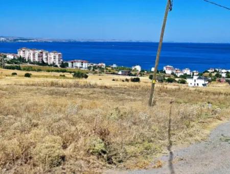 Opportunity Land Suitable For Building Your Detached House In Your Pregnant House For Urgent Sale In Tekirdag Barbarosta