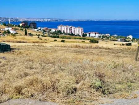 Opportunity Land Suitable For Building Your Detached House In Your Pregnant House For Urgent Sale In Tekirdag Barbarosta