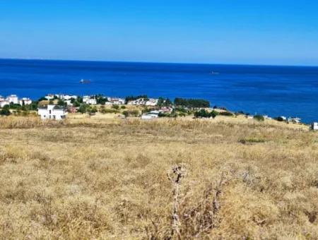 Opportunity Land Suitable For Building Your Detached House In Your Pregnant House For Urgent Sale In Tekirdag Barbarosta
