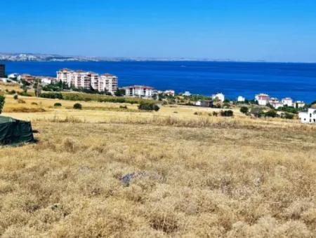 Opportunity Land Suitable For Building Your Detached House In Your Pregnant House For Urgent Sale In Tekirdag Barbarosta