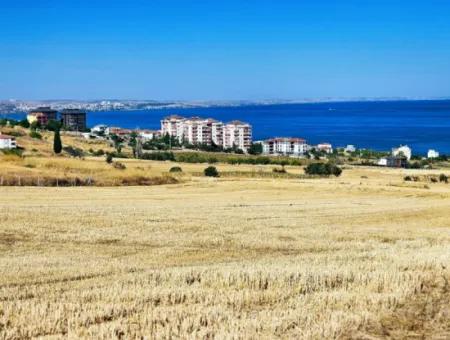 Opportunity Land Suitable For Building Your Detached House In Your Pregnant House For Urgent Sale In Tekirdag Barbarosta