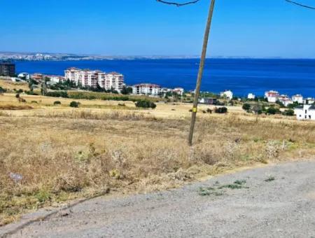 Opportunity Land Suitable For Building Your Detached House In Your Pregnant House For Urgent Sale In Tekirdag Barbarosta