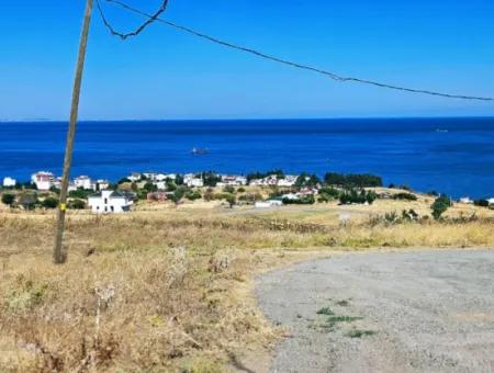 Opportunity Land Suitable For Building Your Detached House In Your Pregnant House For Urgent Sale In Tekirdag Barbarosta