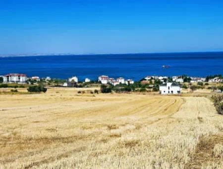 Opportunity Land Suitable For Building Your Detached House In Your Pregnant House For Urgent Sale In Tekirdag Barbarosta