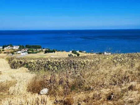 Opportunity Land Suitable For Building Your Detached House In Your Pregnant House For Urgent Sale In Tekirdag Barbarosta
