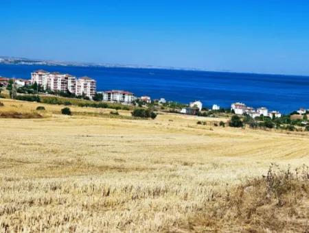 Opportunity Land Suitable For Building Your Detached House In Your Pregnant House For Urgent Sale In Tekirdag Barbarosta