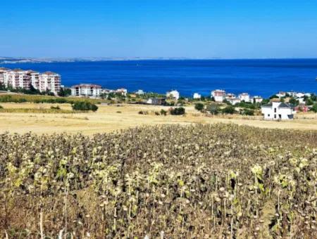 Opportunity Land Suitable For Building Your Detached House In Your Pregnant House For Urgent Sale In Tekirdag Barbarosta