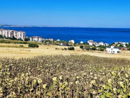 Opportunity Land Suitable For Building Your Detached House In Your Pregnant House For Urgent Sale In Tekirdag Barbarosta