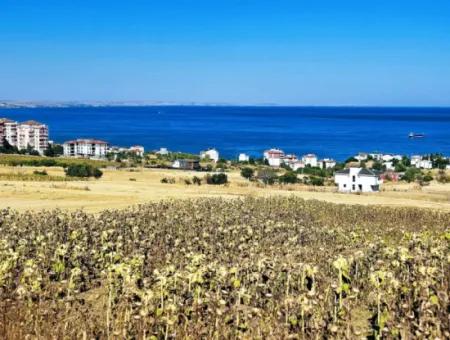 Opportunity Land Suitable For Building Your Detached House In Your Pregnant House For Urgent Sale In Tekirdag Barbarosta