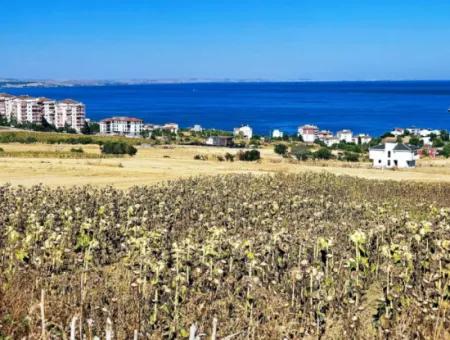 Opportunity Land Suitable For Building Your Detached House In Your Pregnant House For Urgent Sale In Tekirdag Barbarosta