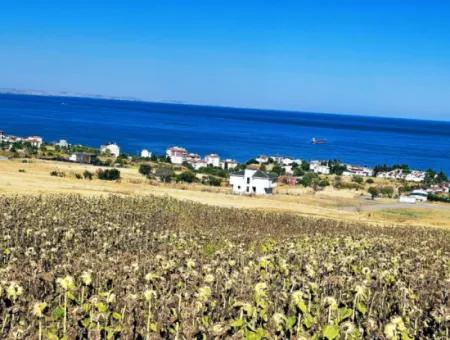 Opportunity Land Suitable For Building Your Detached House In Your Pregnant House For Urgent Sale In Tekirdag Barbarosta