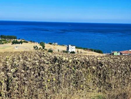 Opportunity Land Suitable For Building Your Detached House In Your Pregnant House For Urgent Sale In Tekirdag Barbarosta