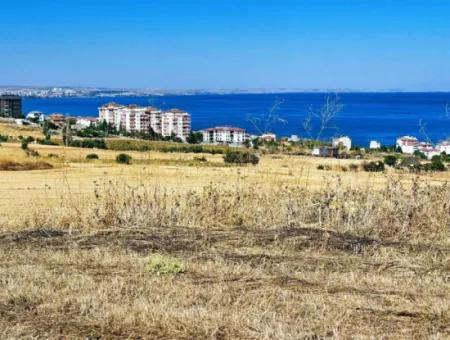 Opportunity Land Suitable For Building Your Detached House In Your Pregnant House For Urgent Sale In Tekirdag Barbarosta