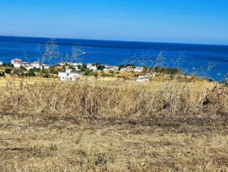 Opportunity Land Suitable For Building Your Detached House In Your Pregnant House For Urgent Sale In Tekirdag Barbarosta