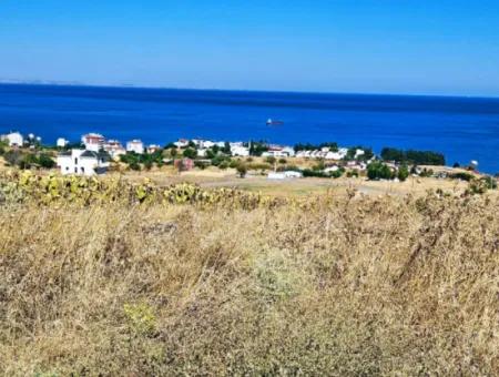 Opportunity Land Suitable For Building Your Detached House In Your Pregnant House For Urgent Sale In Tekirdag Barbarosta