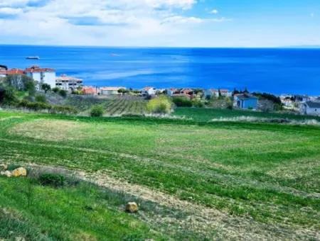 Residential Zoned Land With Full Sea View Suitable For The Construction Of A 42-Apartment Cooperative Site For Urgent Sale In Tekirdag Barbarosta