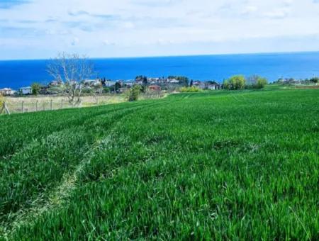 Suitable For Urgent Sale Cooperative And Site In Tekirdag Barbarosta. High Profit Guarantee To The Investor