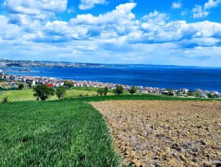 Opportunity Land Suitable For Urgent Sale Magnificent Location Full Sea View 4 Side Road Façade Cooperative And Site Construction