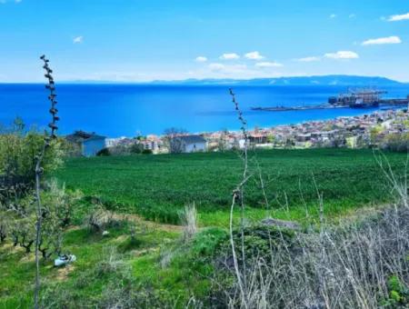 Full Sea And Nature Landscape Infrastructure Ready Luxury 45 Flats Cooperative And Coupon Land Suitable For Site Construction
