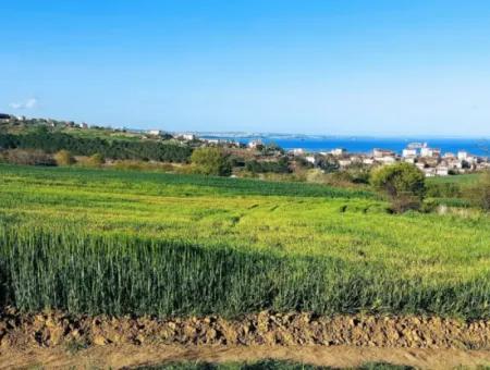 Investment Opportunity: 615 M2 Corner Land For Sale In Tekirdag Barbaros - Urgent Sale, Sea And Nature View, 0 Zoned