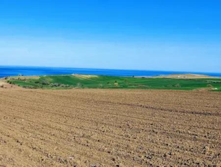 Tekirdag Barbarosta Luxury Villa Project Yap. Give A Flat To The Contractors And Make A High Profit Villa With Full Sea View Zoned Land