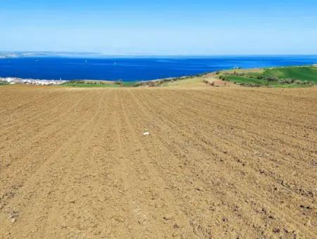 Tekirdag Barbarosta Luxury Villa Project Yap. Give A Flat To The Contractors And Make A High Profit Villa With Full Sea View Zoned Land