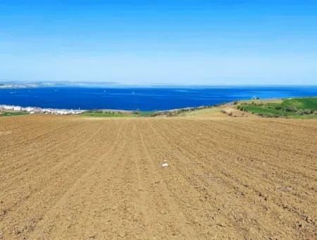 Tekirdag Barbarosta Luxury Villa Project Yap. Give A Flat To The Contractors And Make A High Profit Villa With Full Sea View Zoned Land
