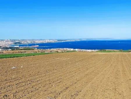 Tekirdag Barbarosta Luxury Villa Project Yap. Give A Flat To The Contractors And Make A High Profit Villa With Full Sea View Zoned Land