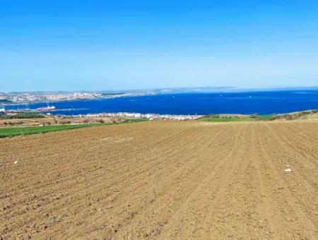 Tekirdag Barbarosta Luxury Villa Project Yap. Give A Flat To The Contractors And Make A High Profit Villa With Full Sea View Zoned Land