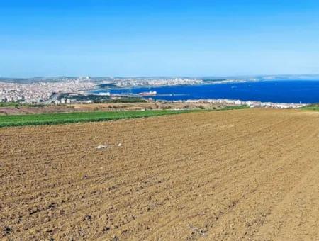 Tekirdag Barbarosta Luxury Villa Project Yap. Give A Flat To The Contractors And Make A High Profit Villa With Full Sea View Zoned Land