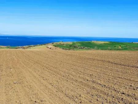 Tekirdag Barbarosta Luxury Villa Project Yap. Give A Flat To The Contractors And Make A High Profit Villa With Full Sea View Zoned Land