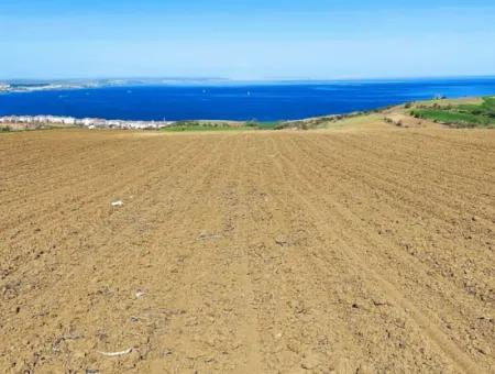 Tekirdag Barbarosta Luxury Villa Project Yap. Give A Flat To The Contractors And Make A High Profit Villa With Full Sea View Zoned Land