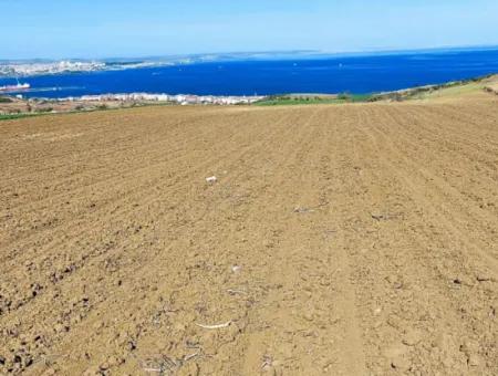 Tekirdag Barbarosta Luxury Villa Project Yap. Give A Flat To The Contractors And Make A High Profit Villa With Full Sea View Zoned Land